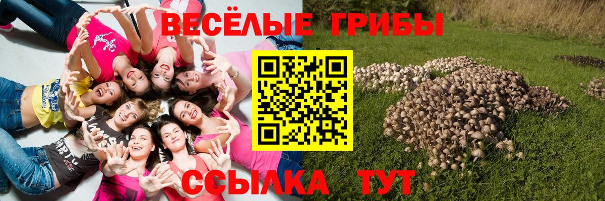 Новодвинск  цена наркотик  Вход с VPN  Псилоцибиновые грибы Magic Shrooms 