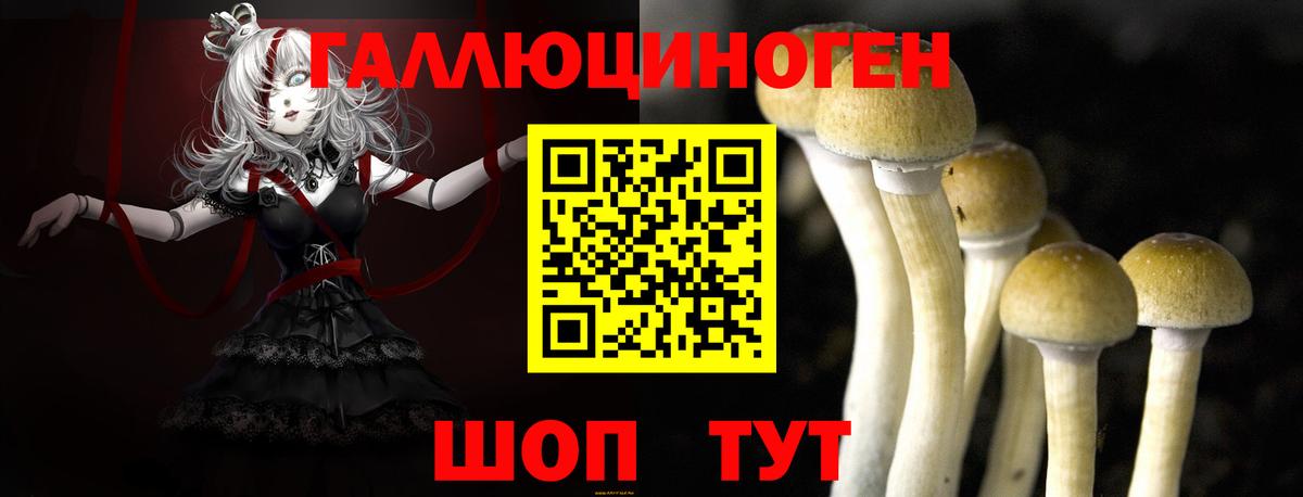 Псилоцибиновые грибы GOLDEN TEACHER Новодвинск